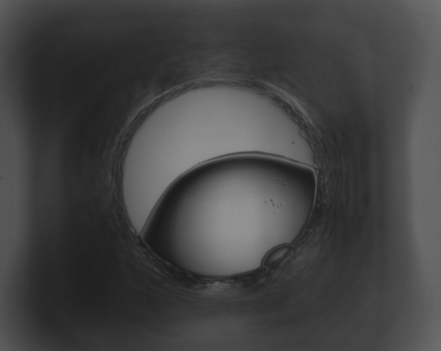 X0000100901160200806241024