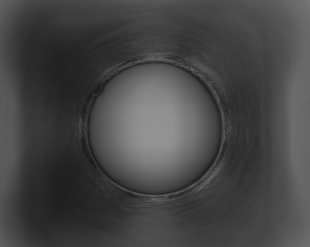 X0000100901161200806241024