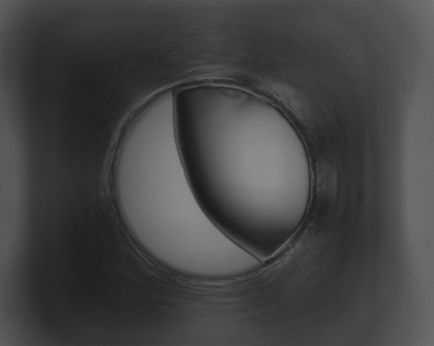 X0000100901164200806241024