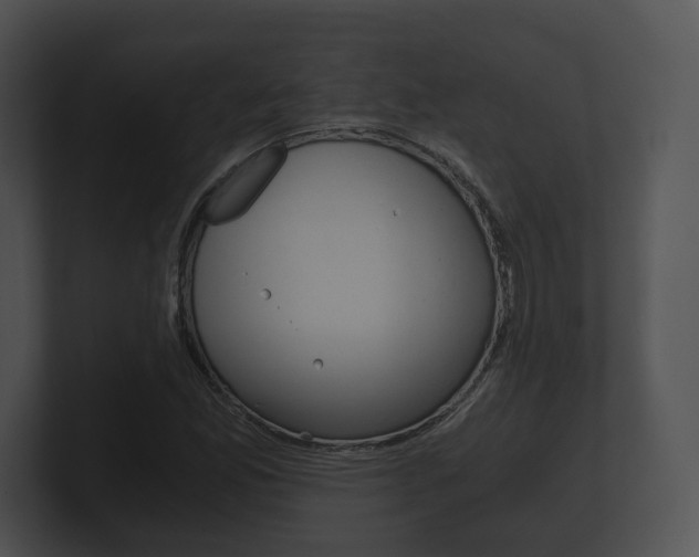 X0000100901165200806241024