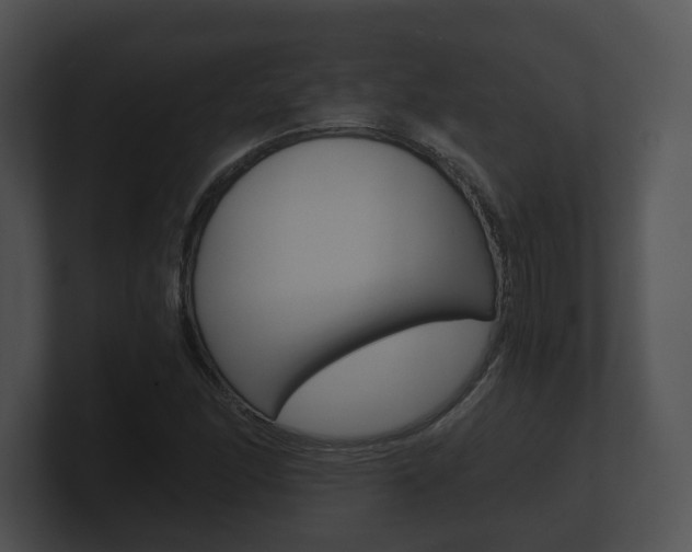 X0000100901166200806241024