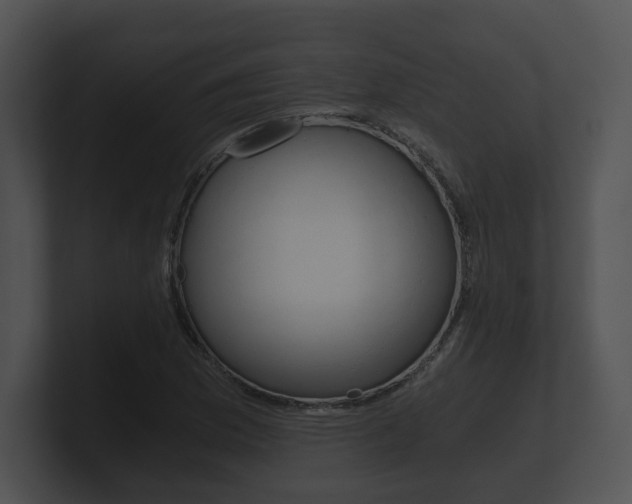 X0000100901169200806241024
