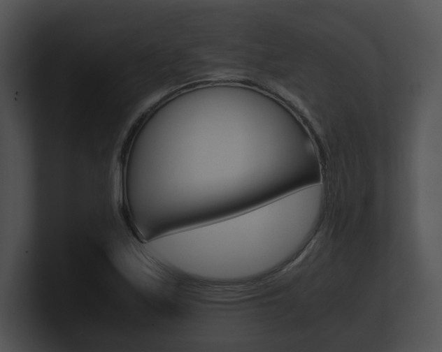 X0000100901171200806241024