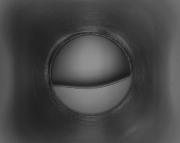 X0000100901172200806241024