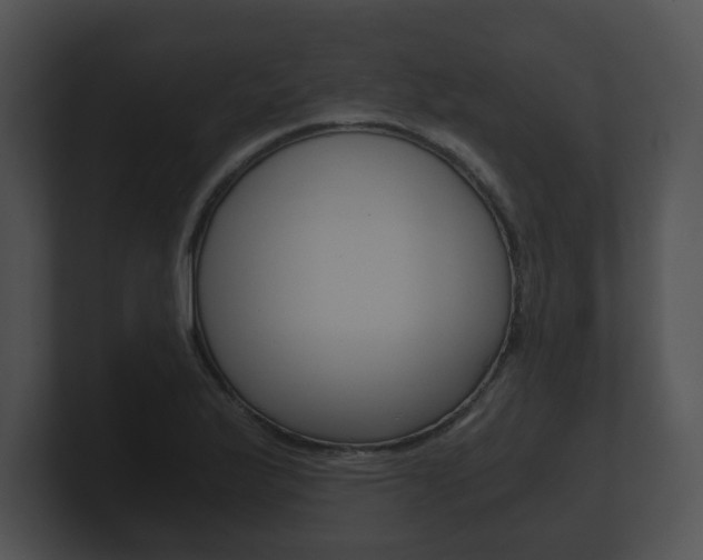 X0000100901175200806241024