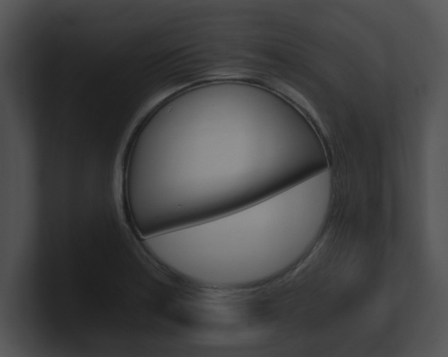 X0000100901179200806241024