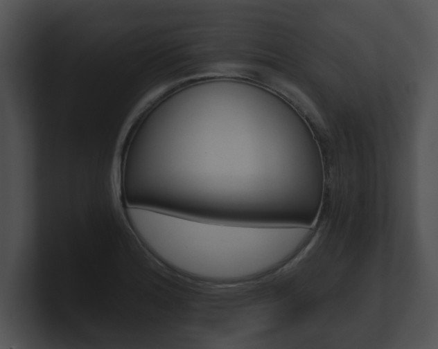 X0000100901180200806241024