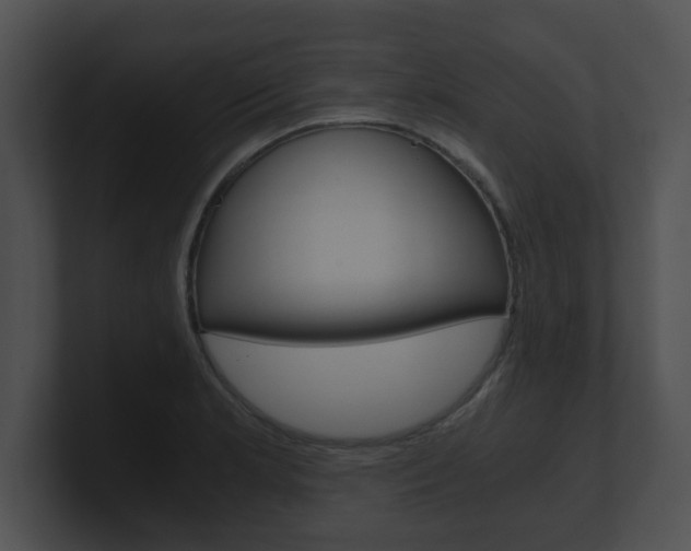 X0000100901181200806241024