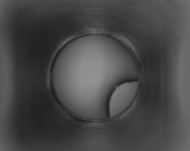 X0000100901182200806241024