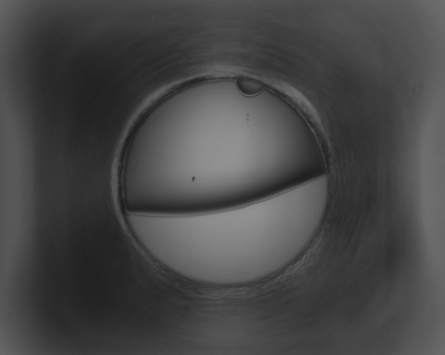 X0000100901183200806241024