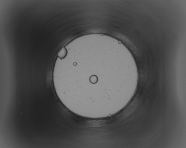 X0000100901185200806241024