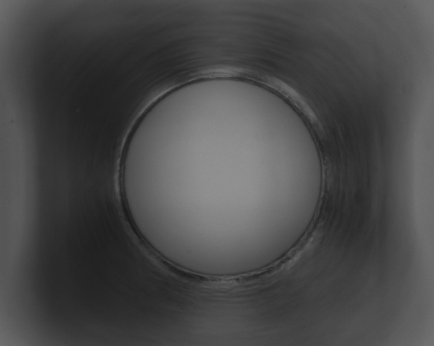 X0000100901186200806241024