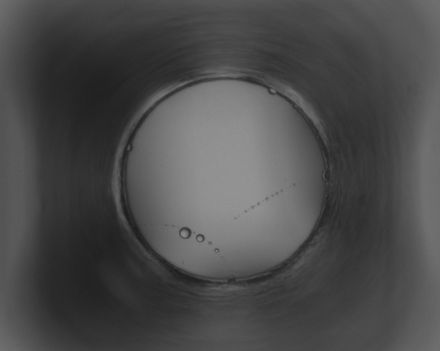 X0000100901187200806241024