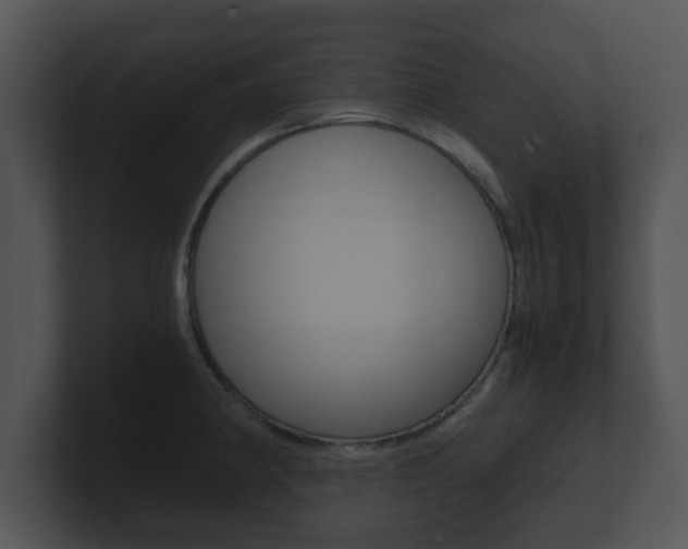 X0000100901190200806241024