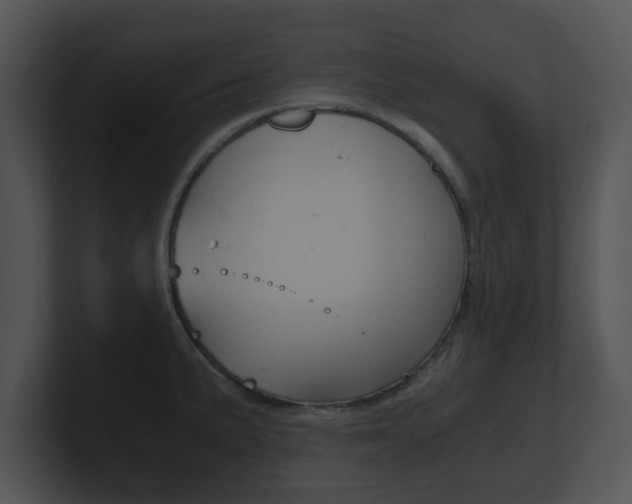 X0000100901191200806241024
