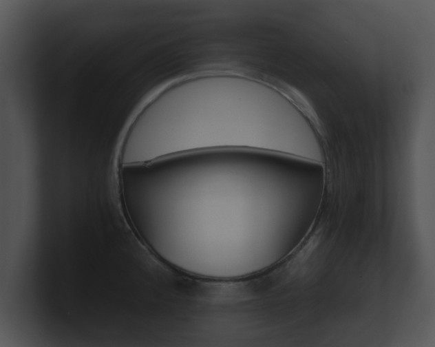X0000100901192200806241024