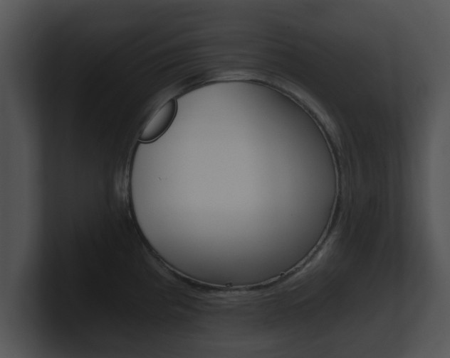 X0000100901193200806241024
