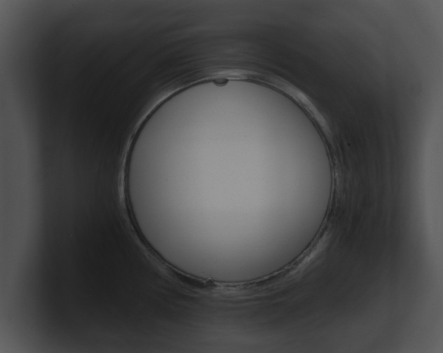 X0000100901194200806241024