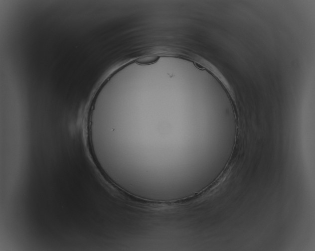 X0000100901195200806241024