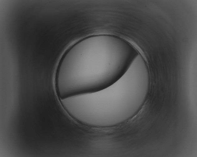 X0000100901197200806241024
