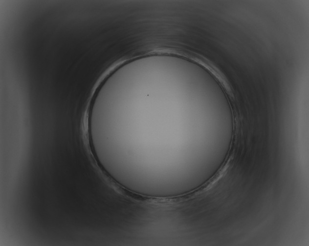 X0000100901198200806241024