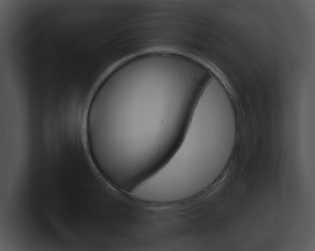 X0000100901199200806241024