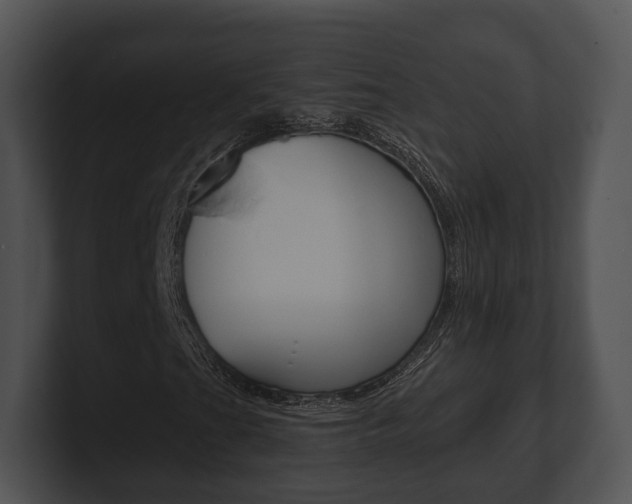 X0000100901201200806241023