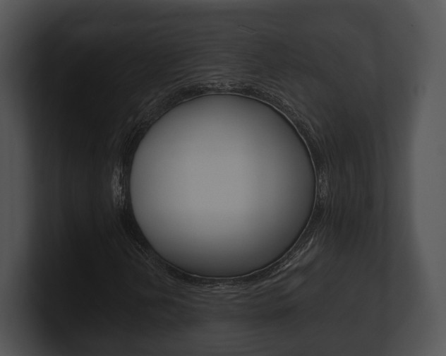 X0000100901202200806241023