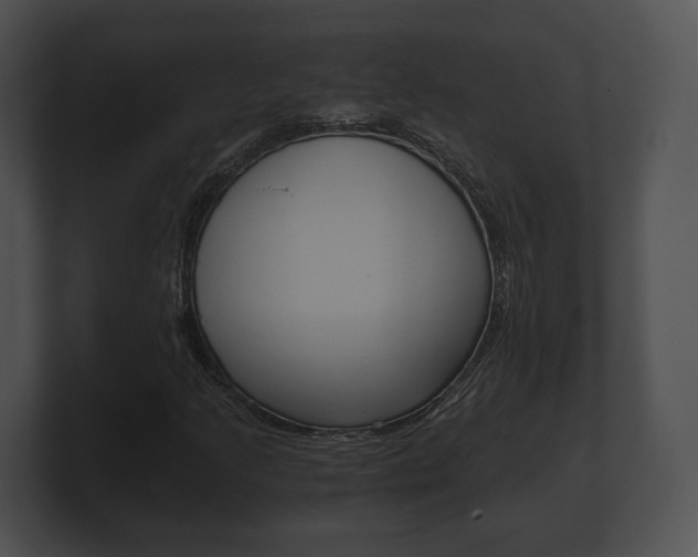 X0000100901205200806241023