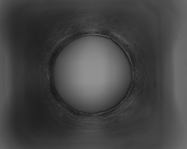 X0000100901206200806241023