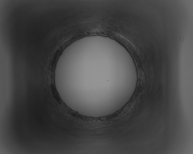 X0000100901207200806241023