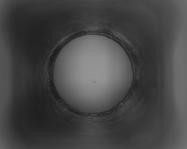 X0000100901208200806241023
