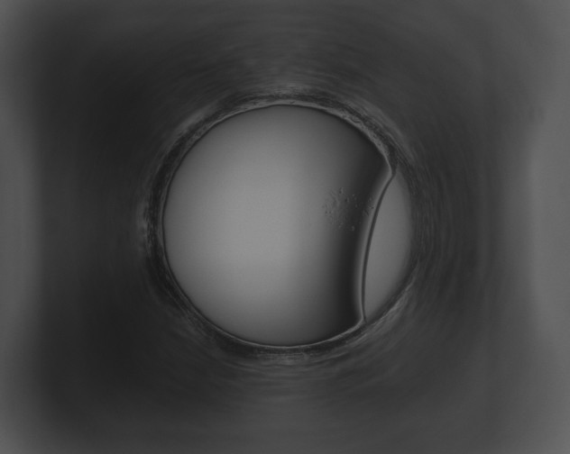 X0000100901210200806241023