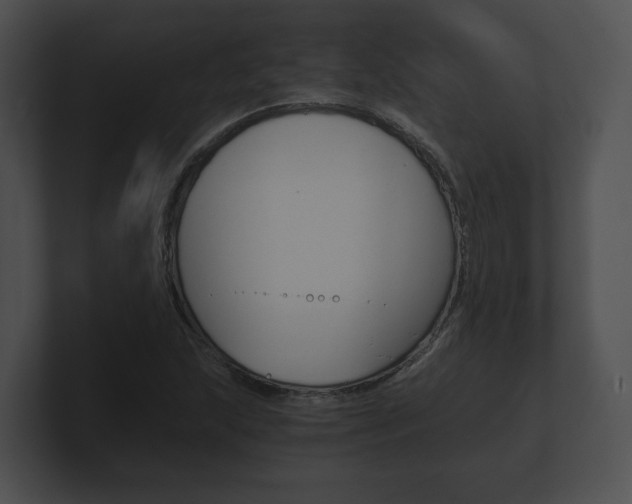 X0000100901215200806241023
