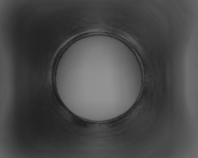 X0000100901216200806241023