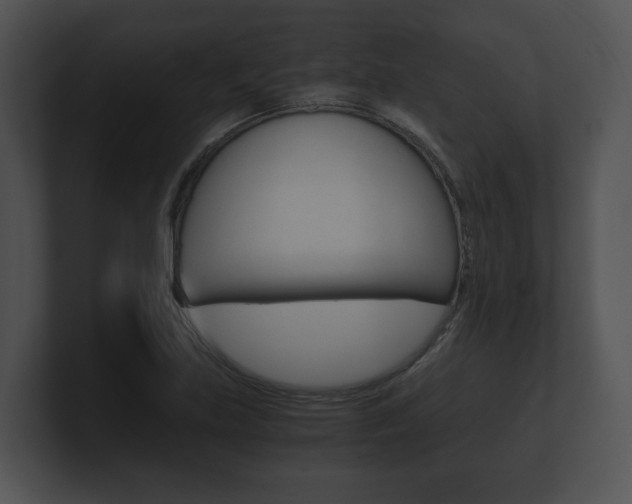 X0000100901219200806241023