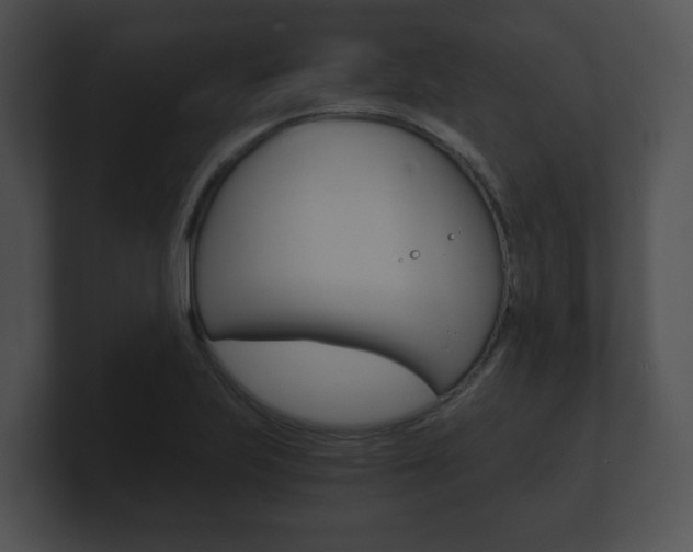 X0000100901223200806241023