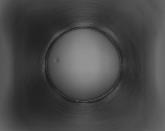 X0000100901226200806241023
