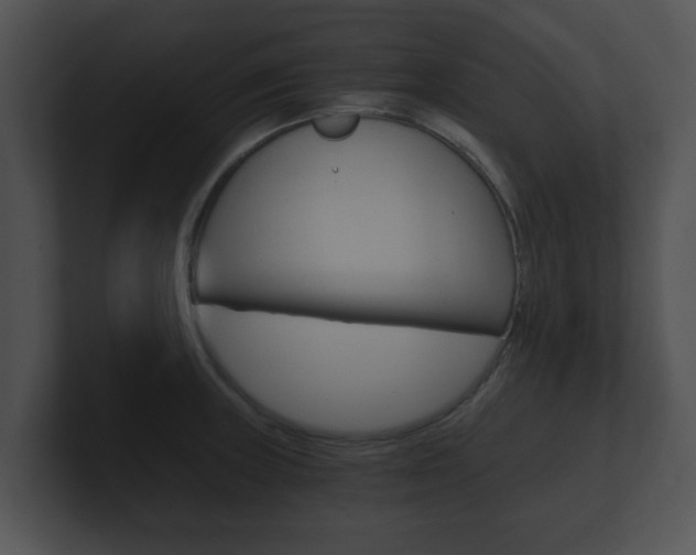 X0000100901235200806241023