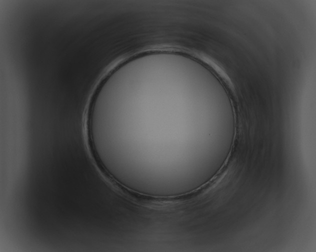 X0000100901237200806241023