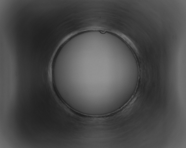 X0000100901238200806241023