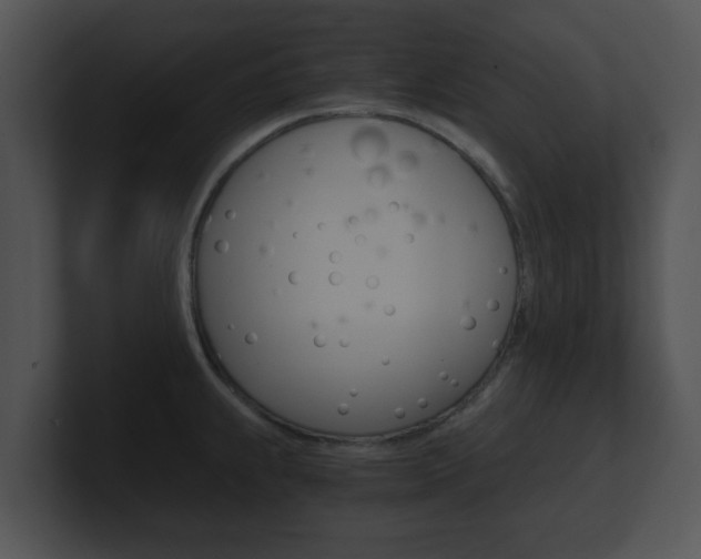 X0000100901239200806241023
