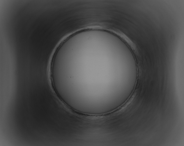 X0000100901240200806241023