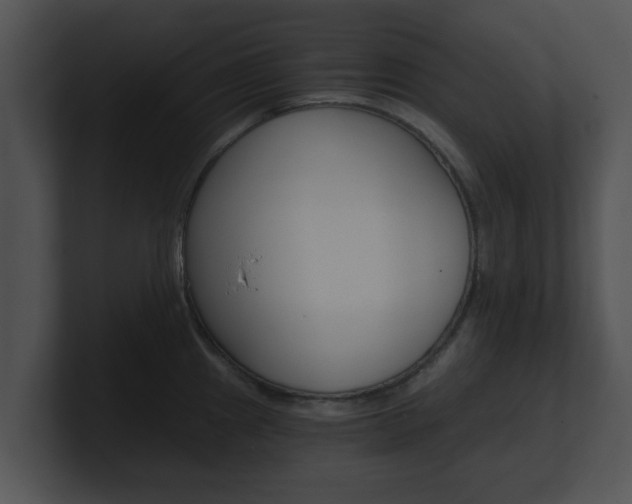 X0000100901241200806241023