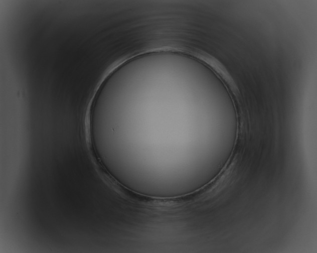 X0000100901242200806241023