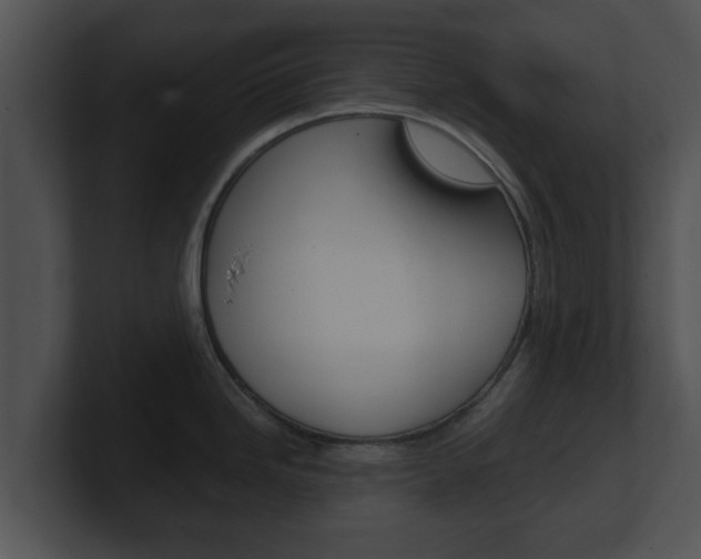 X0000100901246200806241023
