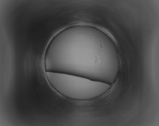 X0000100901247200806241024