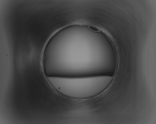 X0000100901248200806241024