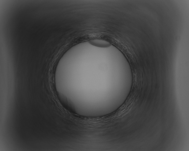 X0000100901249200806241023