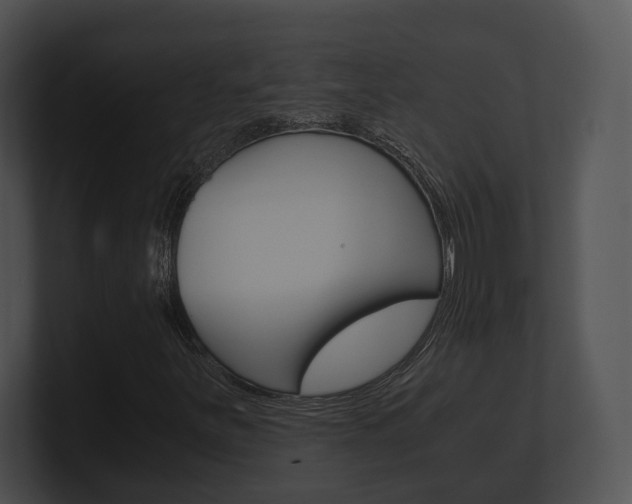 X0000100901251200806241023